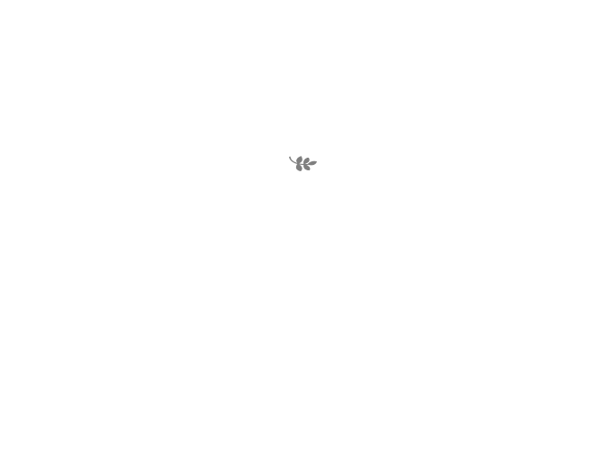 Relax Moon（リラクムーン）